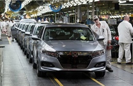 Tấn công mạng làm tê liệt nhiều nhà máy của Honda
