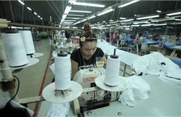 Thương mại Việt Nam - Hoa Kỳ hướng tới phát triển hài hòa, bền vững