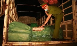 Lào Cai: Phát hiện 2,8 tấn chân gà đông lạnh không rõ nguồn gốc