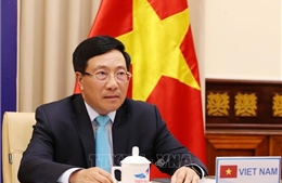 Việt Nam tham dự Phiên thảo luận mở Cấp cao trực tuyến của HĐBA LHQ