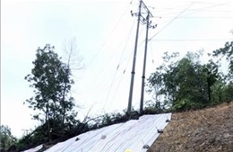 Quảng Ninh: Khẩn trương khắc phục sự cố tạm ngừng cấp điện do ảnh hưởng của mưa lớn