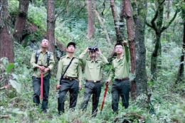 Những người lính ngày đêm giữ rừng trên đỉnh Sam Síp