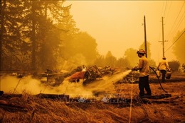Đám cháy rừng vượt tầm kiểm soát tại bang Oregon, Mỹ 