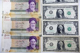 Đồng nội tệ Iran giảm giá kỷ lục so với USD