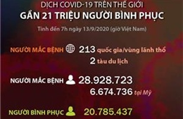 Gần 21 triệu người mắc COVID-19 trên thế giới bình phục