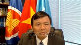 Việt Nam sẵn sàng thúc đẩy hợp tác ASEAN-LHQ trong gìn giữ hòa bình