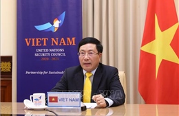 Việt Nam tham dự Phiên họp trực tuyến cấp cao của Hội đồng Bảo an Liên hợp quốc