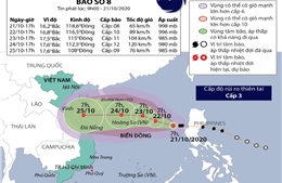 Bão số 8 cách quần đảo Hoàng Sa khoảng 440km