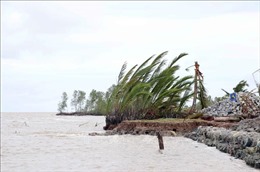 Đê biển Tây Cà Mau xuất hiện nhiều điểm sạt lở nghiêm trọng