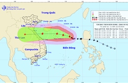 Dự báo đường đi bão số 8 có thể quét vào khu vực Quảng Bình- Quảng Trị