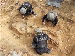Hàn Quốc khai quật hơn 300 mảnh hài cốt tại khu vực DMZ