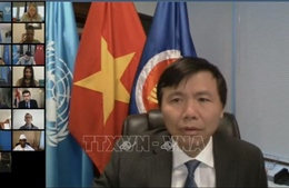 HĐBA: Việt Nam kêu gọi xóa bỏ rào cản, định kiến đối với phụ nữ