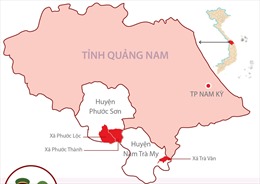 Dốc sức cứu nạn, khắc phục hậu quả thiên tai trên địa bàn tỉnh Quảng Nam