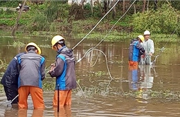 Điện lực Quảng Nam khẩn trương khôi phục cấp điện sau bão số 9