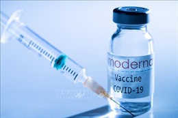 Moderna cam kết cung cấp cho EU 160 triệu liều vaccine ngừa COVID-19
