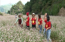 Du lịch nội địa đã góp phần phục hồi du lịch Việt Nam 