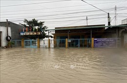 Mưa lũ gây thiệt hại tại nhiều địa phương của tỉnh Ninh Thuận