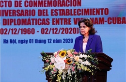 Mít tinh kỷ niệm 60 năm thiết lập quan hệ ngoại giao Việt Nam - Cuba 