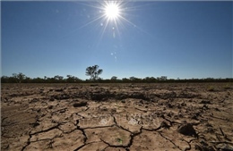 TTK LHQ: Trái Đất đang nóng lên ở mức có thể phá hủy những thành quả kinh tế