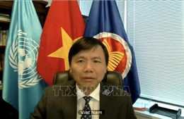 HĐBA: Việt Nam sẵn sàng hỗ trợ cho các quốc gia hậu xung đột ở châu Phi
