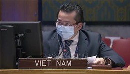 Việt Nam và HĐBA: Việt Nam bày tỏ quan ngại về tình hình bạo lực ở CHDC Congo
