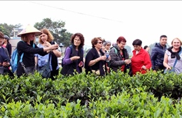 Phát triển du lịch nông thôn - Bài 2: Du lịch cộng đồng ở vùng &#39;đệ nhất danh trà&#39;