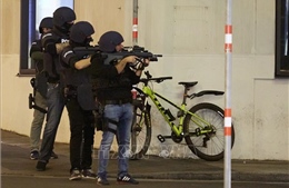 Bắt giữ thêm 2 nghi can xả súng ở Vienna