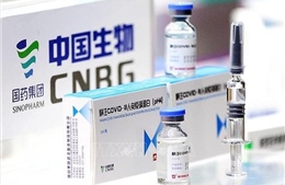 Maroc đặt hàng 65 triệu liều vaccine ngừa COVID-19