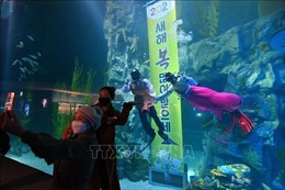 Ấn tượng những bộ Hanbok trong lòng thủy cung ở Hàn Quốc