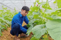 Hoàn thiện chính sách phát triển kinh tế trang trại bền vững ở tỉnh Thanh  Hóa  Tạp chí Tài chính