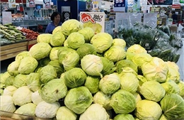 Phối hợp để đảm bảo lưu thông phân phối hàng hóa