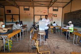 Tòa án Hiến pháp Niger xác nhận kết quả bầu cử quốc hội