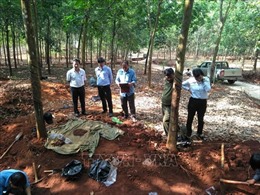 Phát hiện thêm 6 hài cốt liệt sỹ tại huyện biên giới Lộc Ninh, Bình Phước