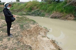  Lâm Đồng yêu cầu đơn vị khai thác cát trên sông Đa Nhim khắc phục vi phạm