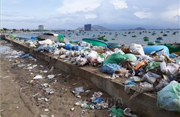 Nhiều vùng ven biển ở Ninh Thuận đứng trước nguy cơ bị ô nhiễm