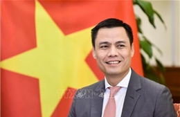 Việt Nam chúc mừng Tết cổ truyền của Lào và Campuchia tại Liên hợp quốc