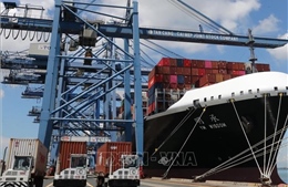 Logistics được dự báo là ngành có nhiều tiềm năng tăng trưởng 