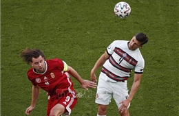 EURO 2020: Trung vệ của Bồ Đào Nha gửi cảnh báo tới đội tuyển Đức