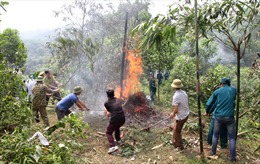 Tuyên Quang: 48 xã, thị trấn nằm trong khu vực cháy rừng cấp nguy hiểm