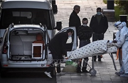 Thế giới có trên 166,4 triệu người mắc COVID-19 đã khỏi bệnh