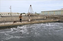 Thiếu nguyên liệu cho nhà máy xử lý nước thải ở Ninh Bình