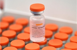 Indonesia công bố nghiên cứu vaccine của hãng Sinovac đạt hiệu quả 94%