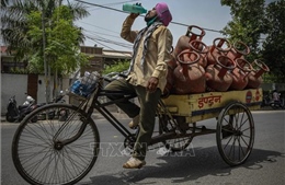 Hàng chục triệu người dân Ấn Độ chật vật với nắng nóng