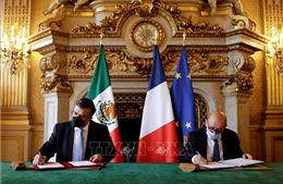 Mexico, Pháp hợp tác chống buôn bán tài sản văn hóa