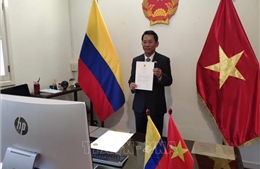 Việt Nam mong muốn thúc đẩy hơn nữa quan hệ hữu nghị, hợp tác với Colombia