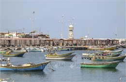 Israel mở rộng vùng cho phép đánh cá ngoài khơi Dải Gaza
