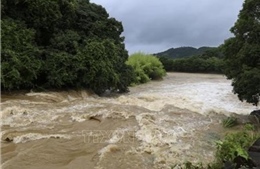 Nhật Bản: Hai thành phố phát lệnh sơ tán cấp cao nhất do mưa lớn