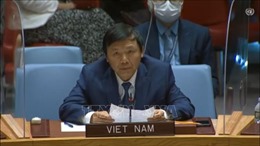 Việt Nam ủng hộ giải pháp chính trị toàn diện và bầu cử đúng hạn tại Libya