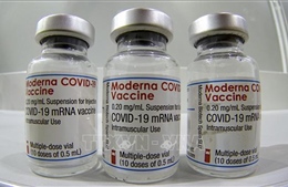 Italy phê duyệt tiêm vaccine của Moderna cho thanh thiếu niên