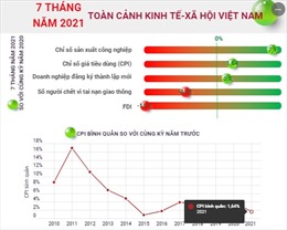 Toàn cảnh kinh tế - xã hội Việt Nam 7 tháng năm 2021